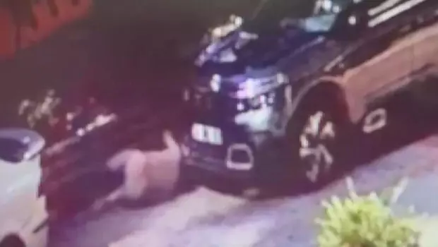 Pendik'te 'Markete gidiyorum' diyerek evden çıkan Mutlu Temiz site bahçesinde ölü bulundu: Ailesi araştırılmasını istiyor