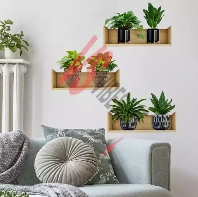 Raflı Bitki Tasarımlı Yapışkanlı Sticker 20*30 cm 3lü Set Ürün Görseli