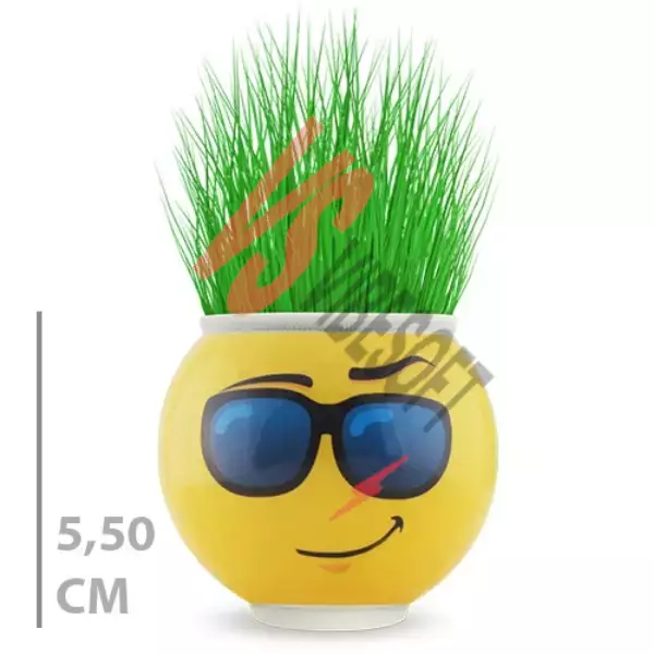 Ürün Görseli